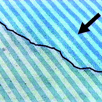 ILKA-TR 79 Konzentrat Zulassung beim Deutschen Teppichforschungsinstitut für textile Bodenbeläge! Konzentrat, wasserlöslicher Tiefenreiniger, Entfettungsprodukt ILKA-TR 79 Konzentrat Zulassung beim Deutschen Teppichforschungsinstitut für textile Bodenbeläge! Konzentrat, wasserlöslicher Tiefenreiniger, Entfettungsprodukt